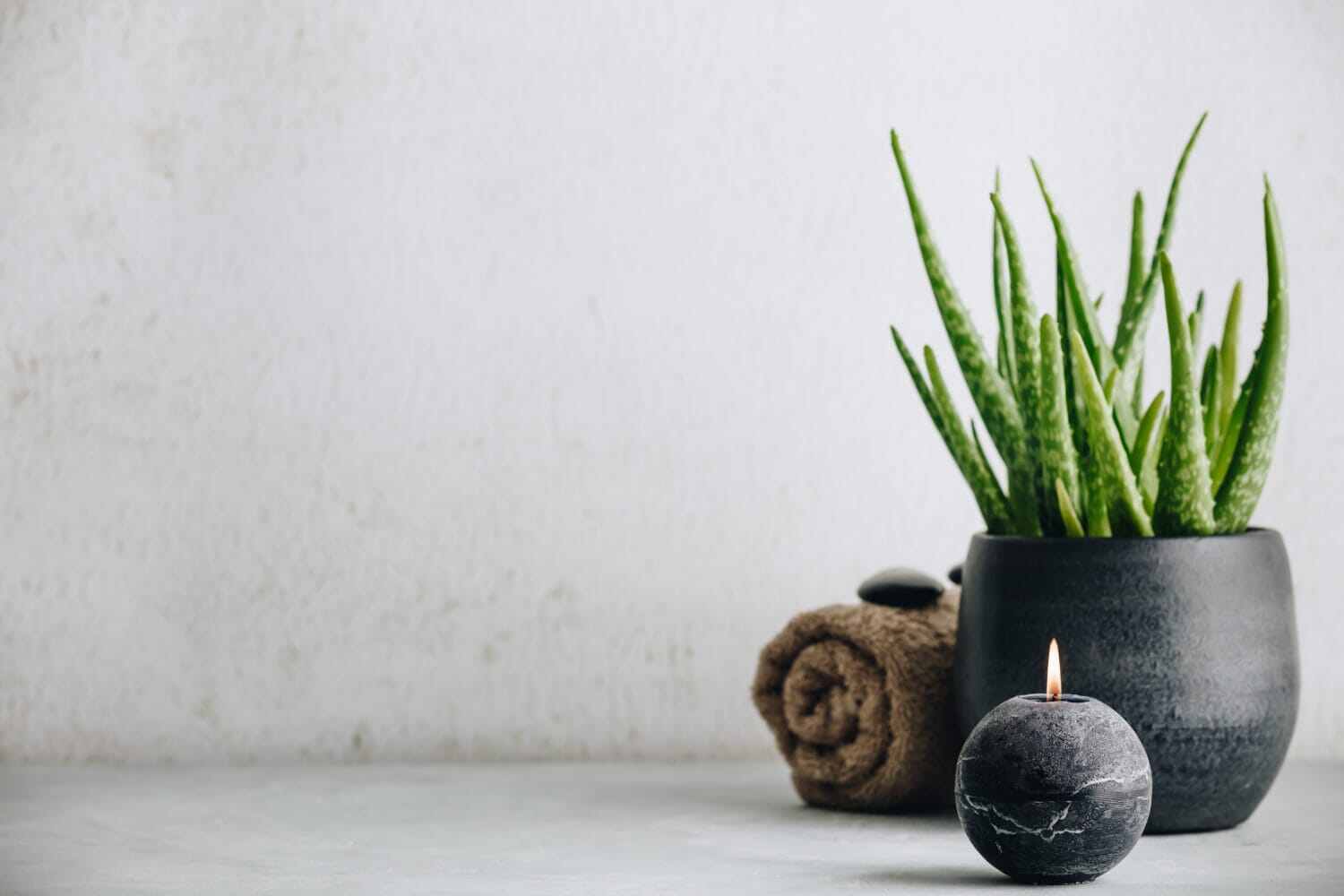 Ayurvedische Kräuter: 4 Heilpflanzen, die Du selber anbauen kannst