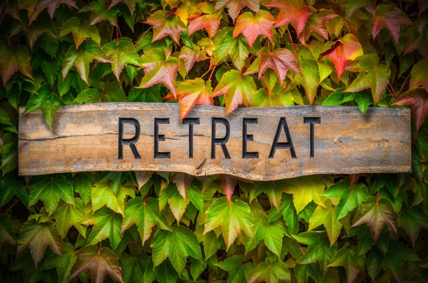 7 bedeutende Gründe, warum sich ein Yoga-Retreat-Besuch lohnt