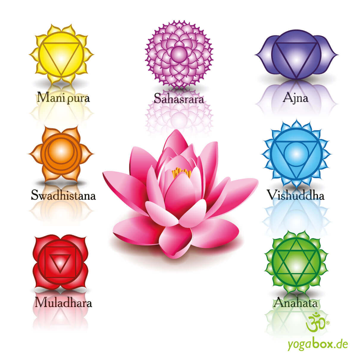 chakras-ebenen-des-bewusstseins