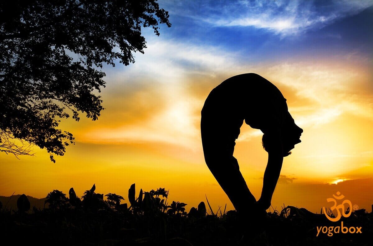 Tiriang Mukhottanasana - Die Meisterpose für Erleuchtung suchende