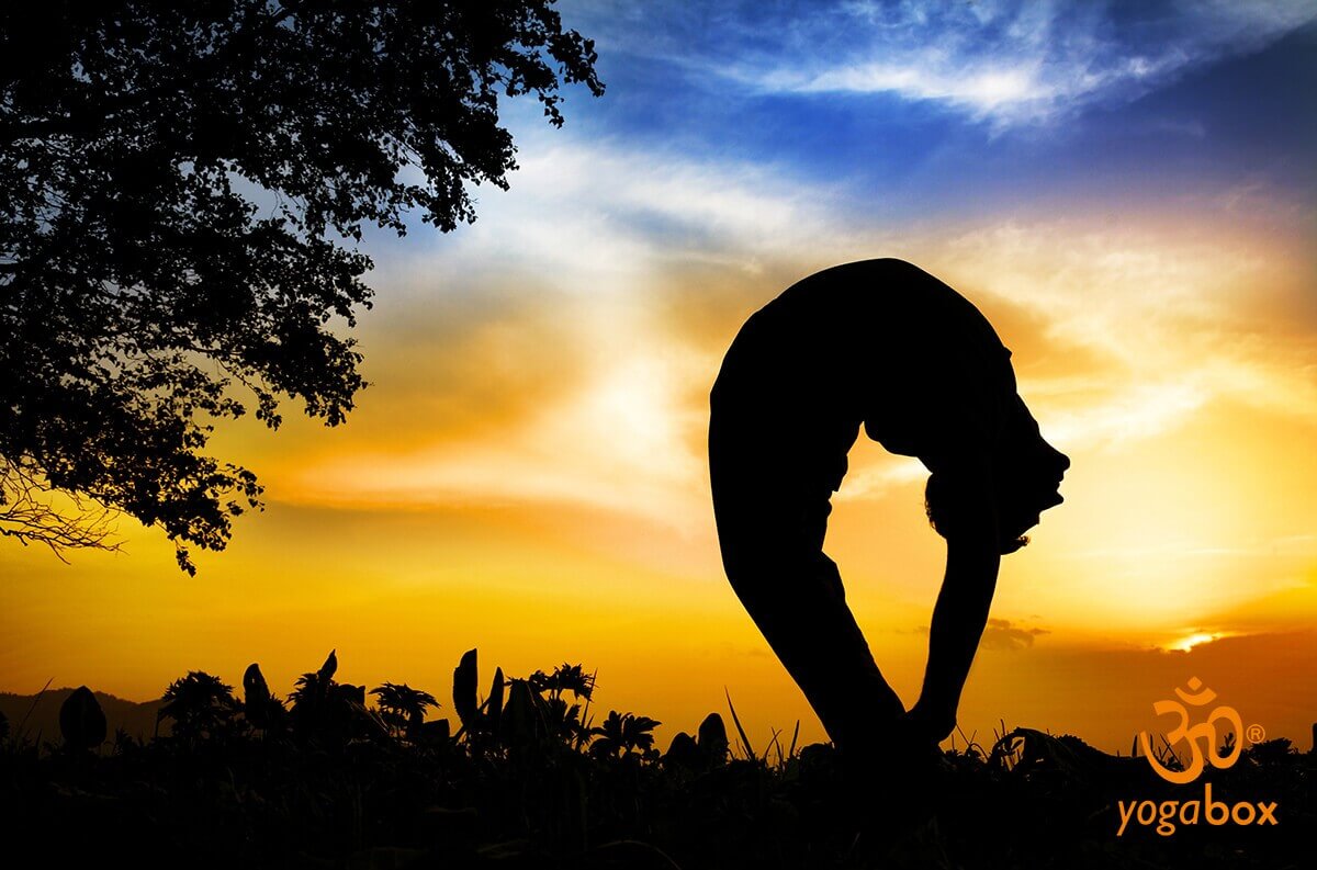 Tiriang Mukhottanasana - Die Meisterpose für Erleuchtung suchende