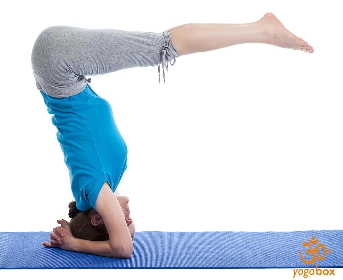 Urdhva Dandasana - Anspruch und Lohn der nach oben gerichteten Stockhaltung