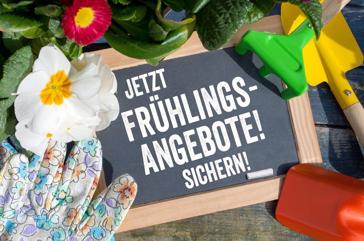 Frühlings Angebote