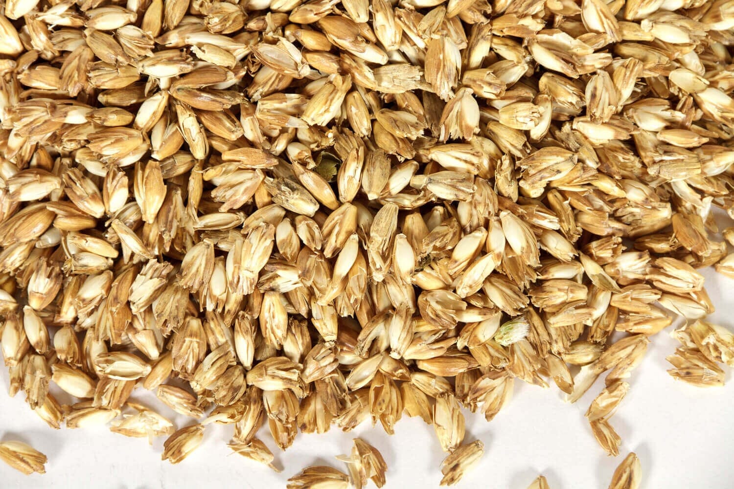 Enveloppes d'épeautre biologiques (kbA) 